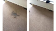 Anchor Carpet Cleaning Service