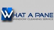 What A Pane