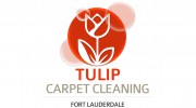 Tulip Carpet Cleaning Fort Lauderdale