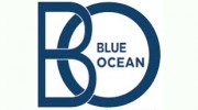 Blue Ocean Window Cleaning