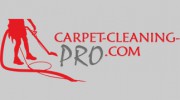 Village Carpet Cleaning