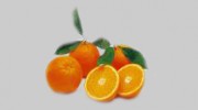 Citrusolution Carpet Cleaning