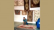 Spot-Tech Carpet & Upholstery Cleaning