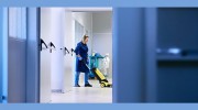 Domestiks Cleaning Service