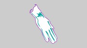 White Glove Cleaning Services