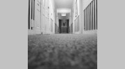 A-1 Carpet Care & Disaster Services