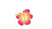 Aloha Cleaning Services