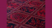 Fresh Carpet Cleaner