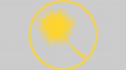 Dandelion Cleaning
