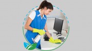 WellSpring Cleaning Services