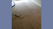 Carpet Recovery