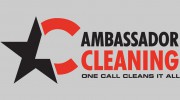 Ambassador Window Cleaning