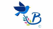 Bluebird Cleaning