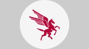 Pegasus Cleanroom Service