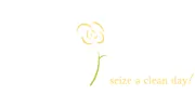Carpe Diem Cleaning