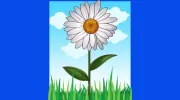 Daisy Mae Cleaning & Services