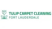 Tulip Carpet Cleaning Fort Lauderdale