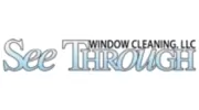 See Through Window Cleaning