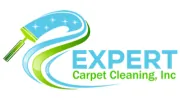 Expert Carpet Cleaning