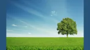 Natural Cleaners