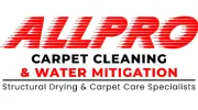 All Pro Restoration & Carpet Carpet Specialist