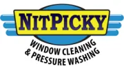 NitPicky Cleaning
