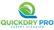 QuickDry Pro