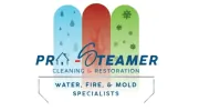 Pro Steamer