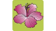 Aloha Cleaners