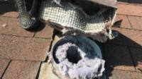 Dryer Vent Cleaning