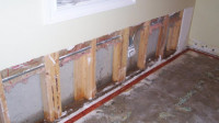 Mold Damage Restoration
