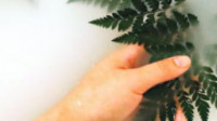 Green Cleaning