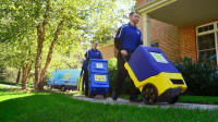Sewage Cleanup